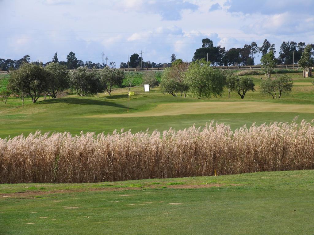 Golf Club Metaponto Casa de hóspedes Exterior foto